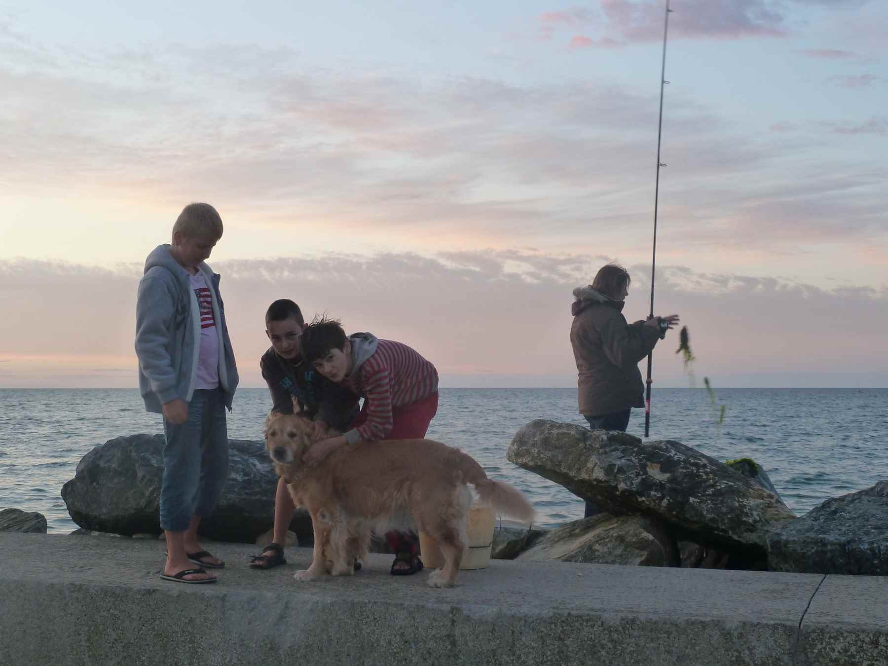 Animaux bienvenus au Camping le Pont du Hable en Normandie !